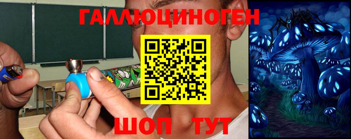 Галлюциногенные грибы прущие грибы  Вход с VPN  Галлюциногенные грибы Magic Shrooms  Ногинск 